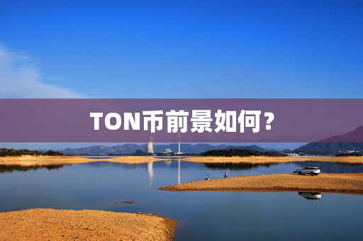 TON币前景如何？