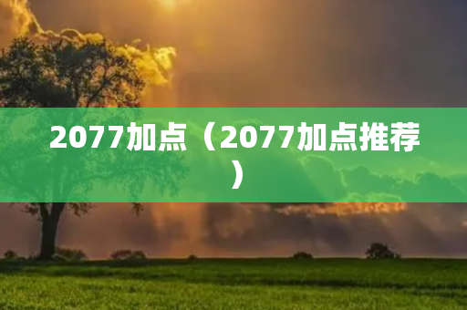 2077加点（2077加点推荐）