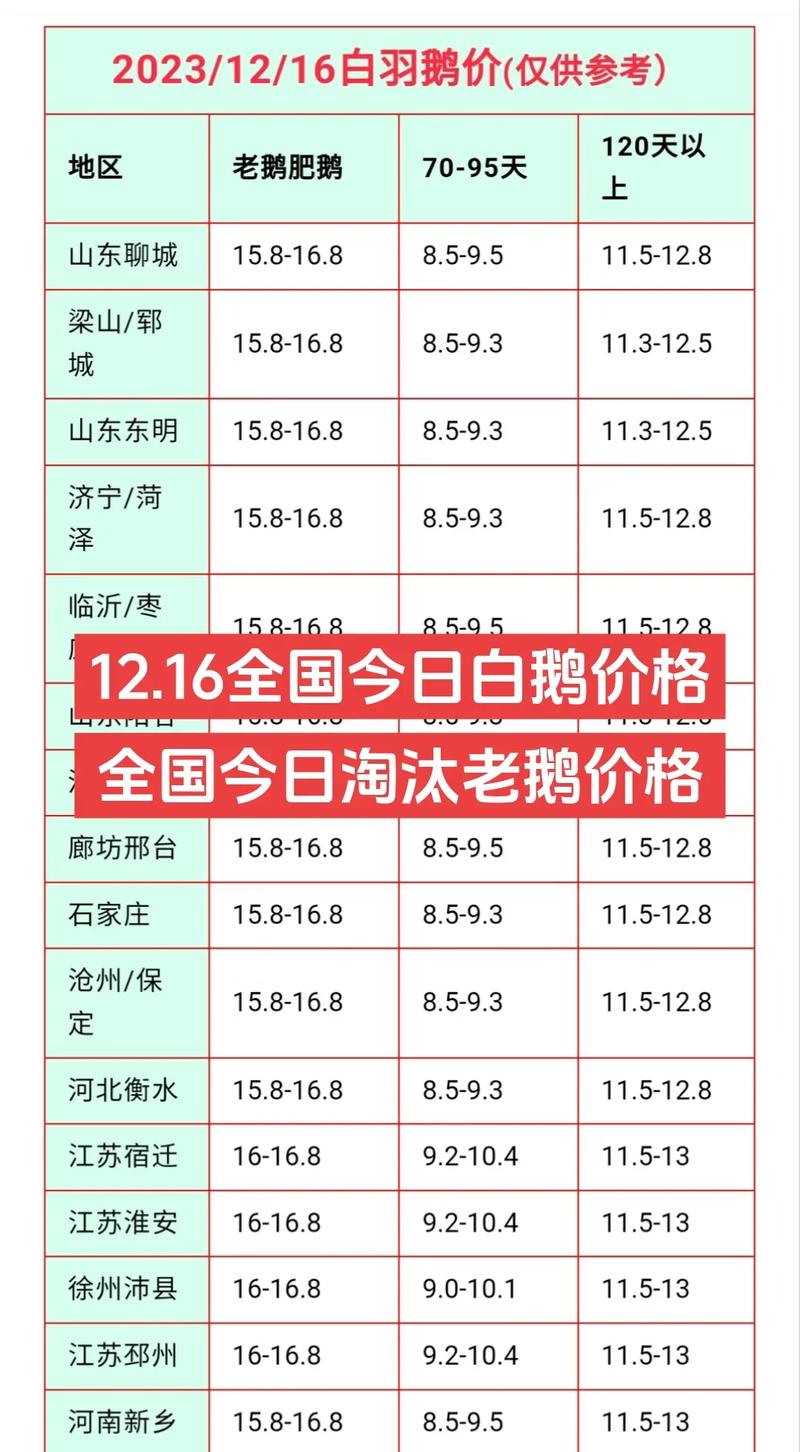 新经币价格-新经币价格今日行情最新消息