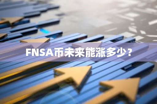 FNSA币未来能涨多少？