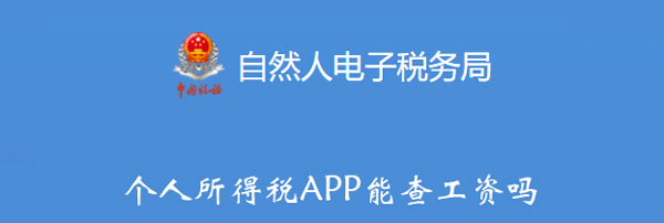 个人所得税APP能查工资吗