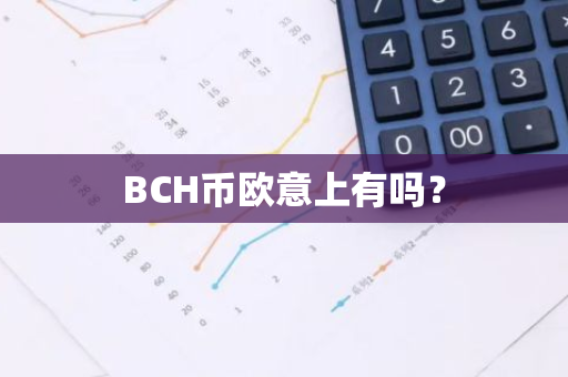 BCH币欧意上有吗？