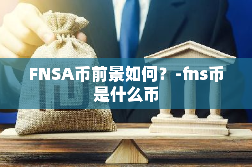 FNSA币前景如何？-fns币是什么币