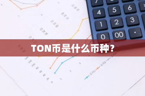 TON币是什么币种？