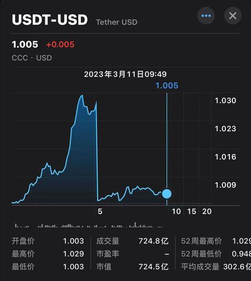 usdt中文什么意思