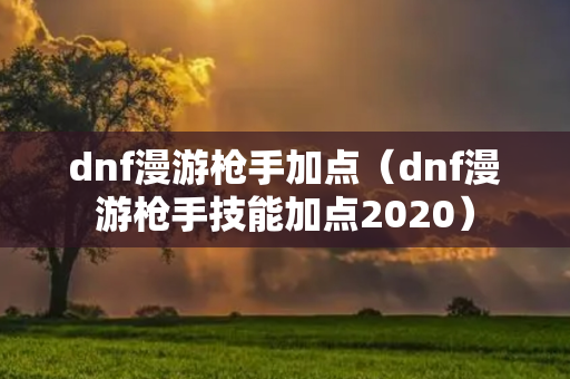 dnf漫游枪手加点（dnf漫游枪手技能加点2020）