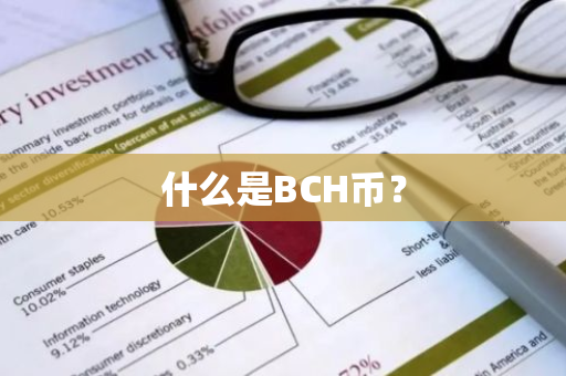 什么是BCH币？