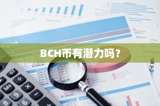 BCH币有潜力吗？