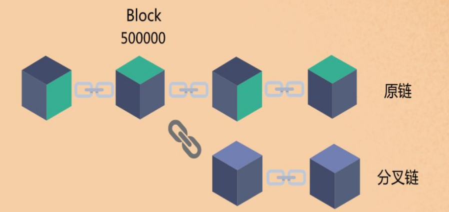 区块链分叉是什么