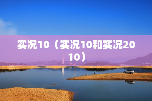 实况10（实况10和实况2010）