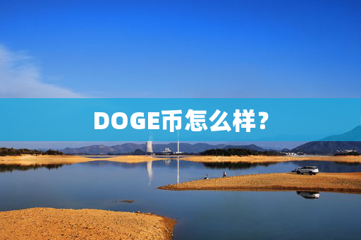 DOGE币怎么样？