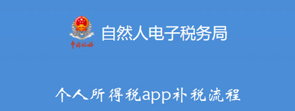 个人所得税app补税流程