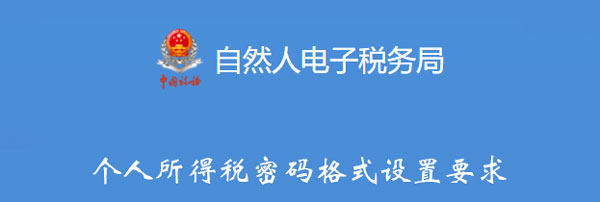 个人所得税密码格式设置要求