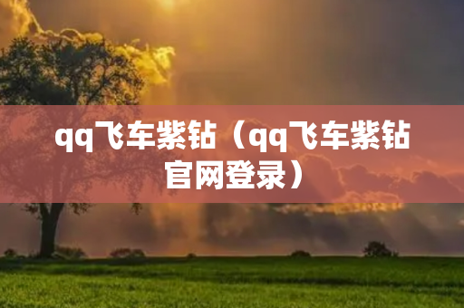 qq飞车紫钻（qq飞车紫钻官网登录）