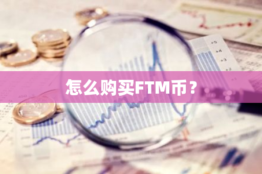 怎么购买FTM币？