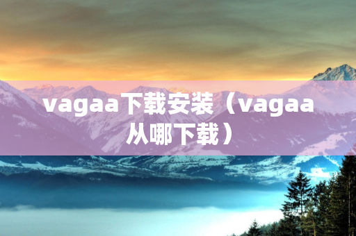 vagaa下载安装（vagaa从哪下载）