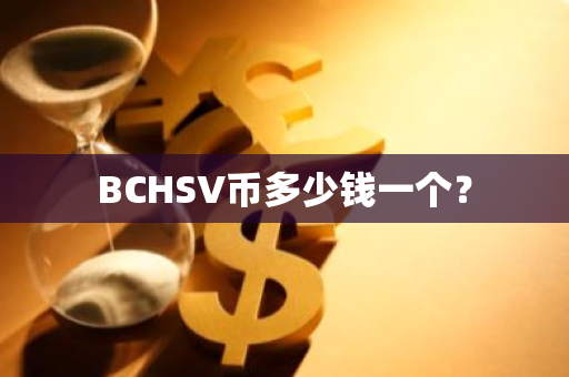 BCHSV币多少钱一个？