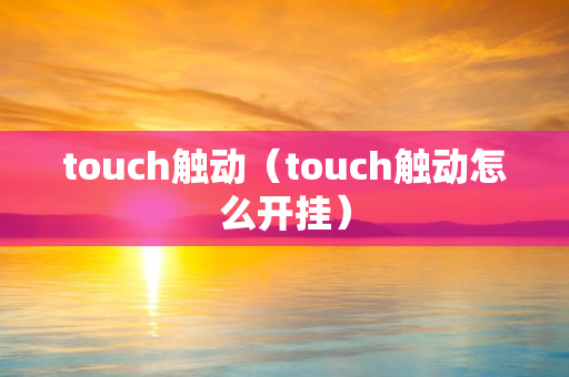 touch触动（touch触动怎么开挂）