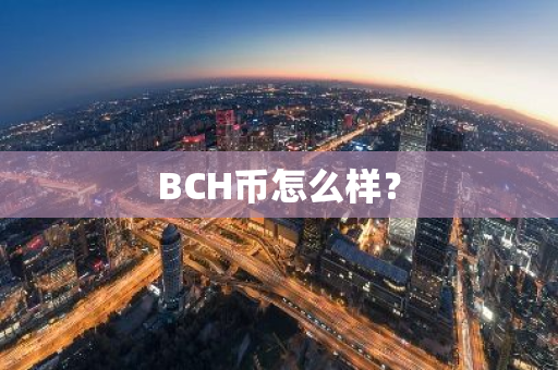 BCH币怎么样？