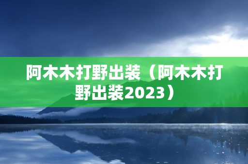 阿木木打野出装（阿木木打野出装2023）