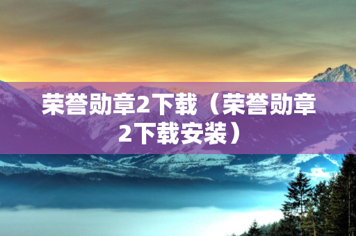 荣誉勋章2下载（荣誉勋章2下载安装）