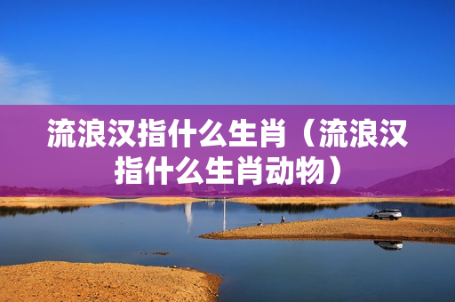 流浪汉指什么生肖（流浪汉指什么生肖动物）