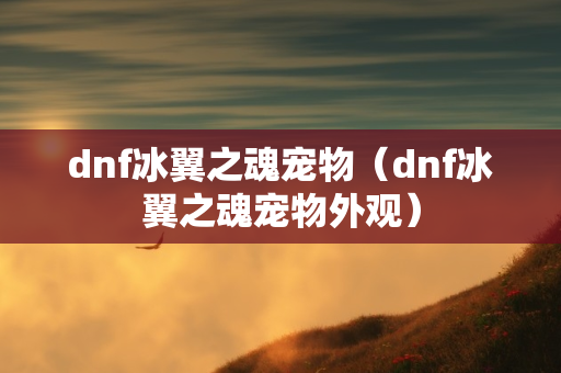 dnf冰翼之魂宠物（dnf冰翼之魂宠物外观）