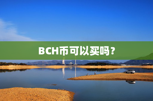 BCH币可以买吗？