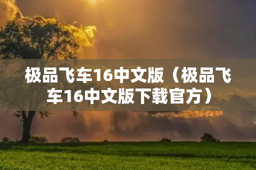 极品飞车16中文版（极品飞车16中文版下载官方）