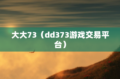 大大73（dd373游戏交易平台）