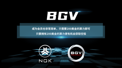 BGV币是什么币