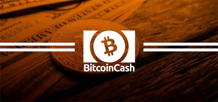 什么钱包支持bch