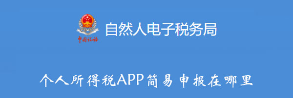 个人所得税APP简易申报在哪里