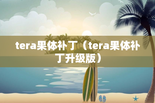 tera果体补丁（tera果体补丁升级版）