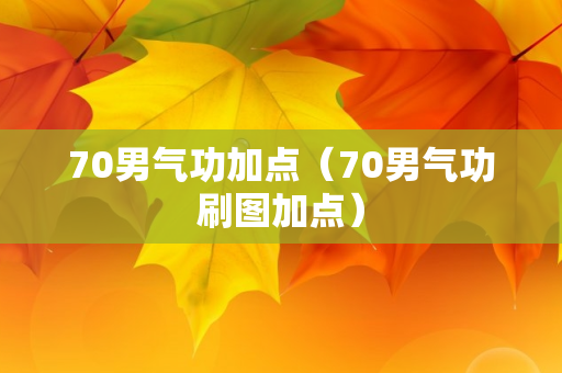 70男气功加点（70男气功刷图加点）