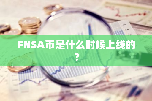 FNSA币是什么时候上线的？