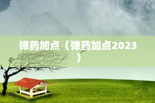 弹药加点（弹药加点2023）