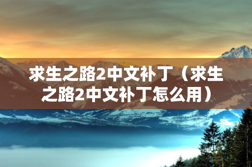 求生之路2中文补丁（求生之路2中文补丁怎么用）