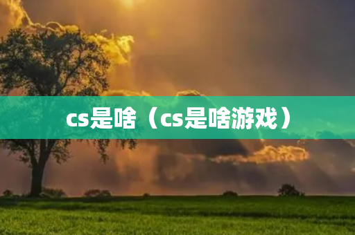 cs是啥（cs是啥游戏）