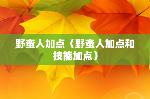 野蛮人加点（野蛮人加点和技能加点）