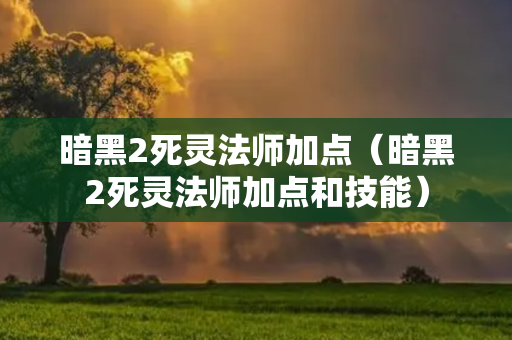 暗黑2死灵法师加点（暗黑2死灵法师加点和技能）