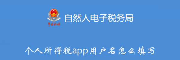 个人所得税app用户名怎么填写