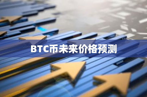 BTC币未来价格预测