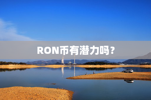 RON币有潜力吗？