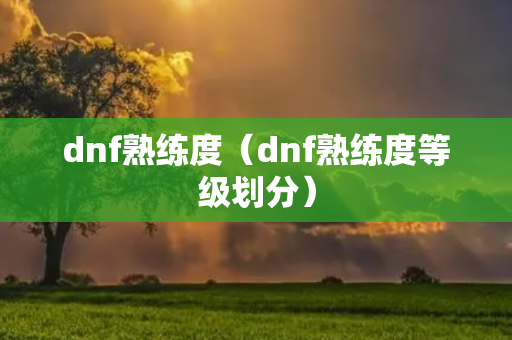 dnf熟练度（dnf熟练度等级划分）