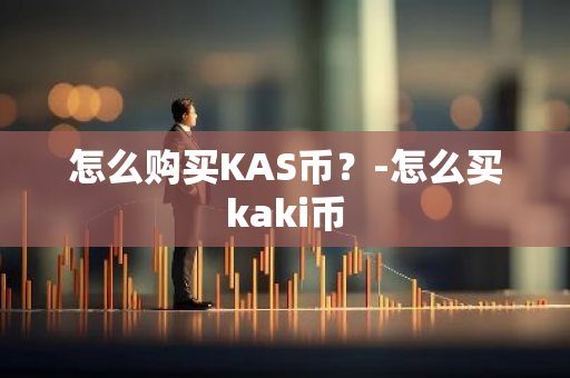 怎么购买KAS币？-怎么买kaki币