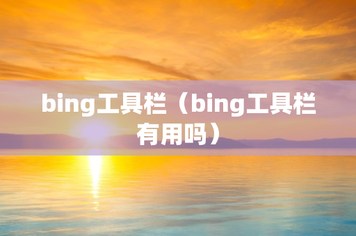 bing工具栏（bing工具栏有用吗）