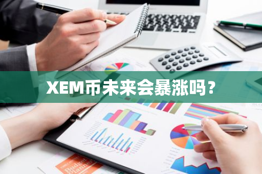 XEM币未来会暴涨吗？