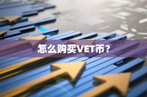 怎么购买VET币？