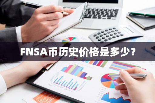 FNSA币历史价格是多少？